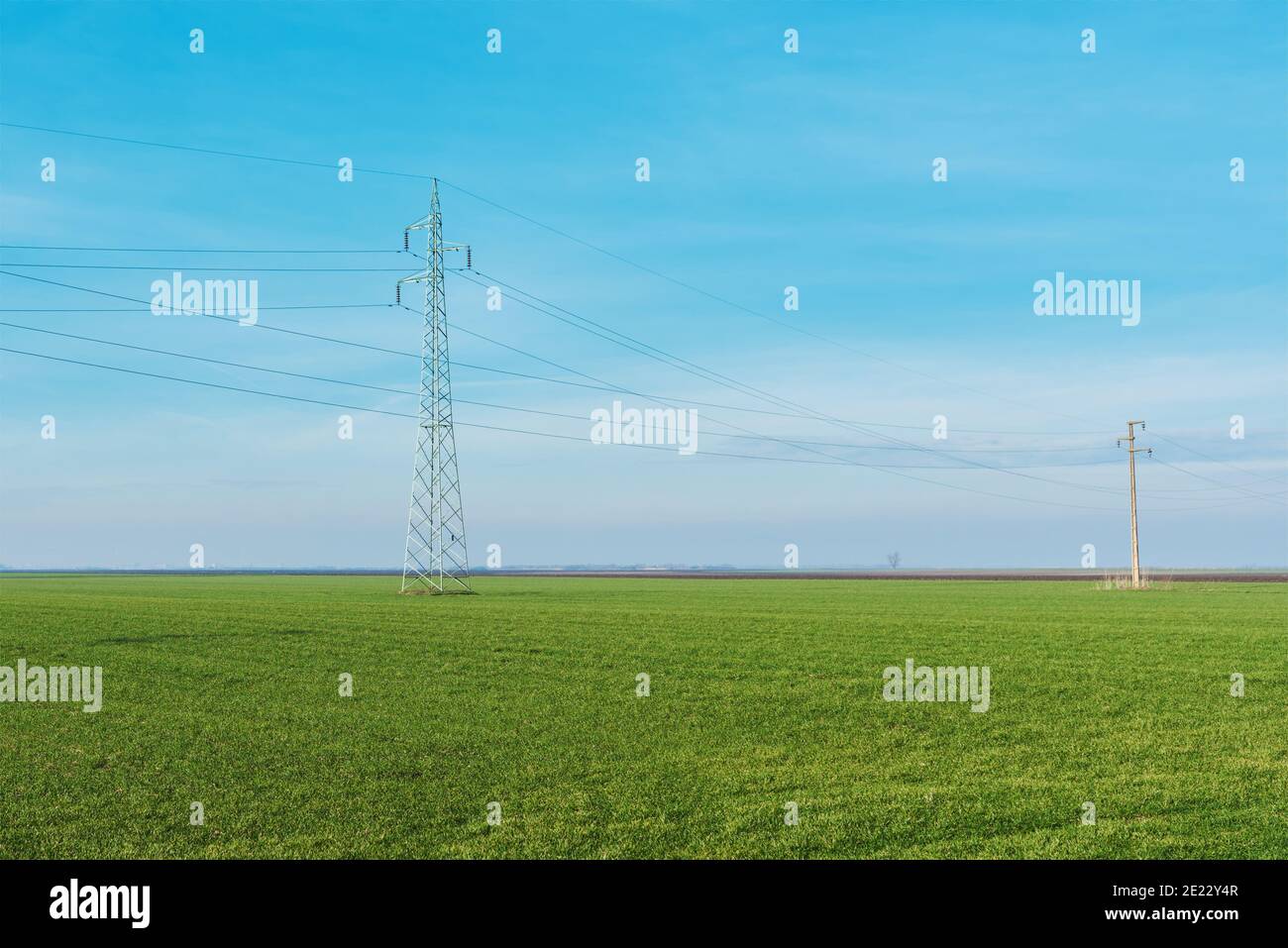 Trasmissione di energia elettrica, tralicci di linee elettriche nei campi di campagna nel pomeriggio soleggiato Foto Stock