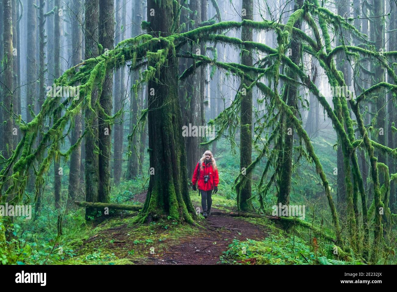 Donna escursioni sulla foresta, Golden Ears Provincial Park, Maple Ridge, British Columbia, Canada Foto Stock