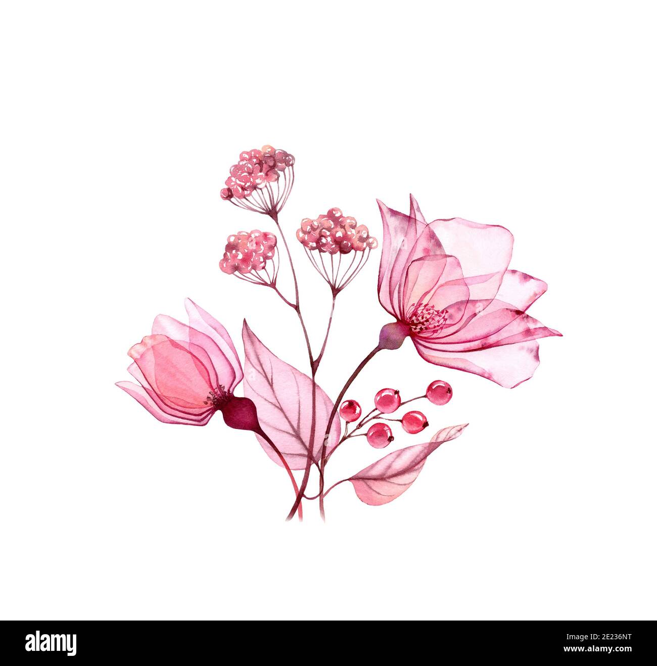 Bouquet di rose acquerello. Grandi fiori rosa con foglie e bacche isolate su bianco. Opere d'arte vintage dipinte a mano con petali dettagliati. Botanico Foto Stock
