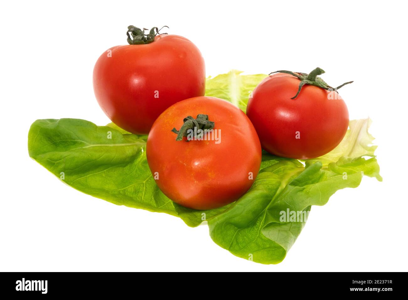 Tomatos e lattuga - sfondo bianco Foto Stock