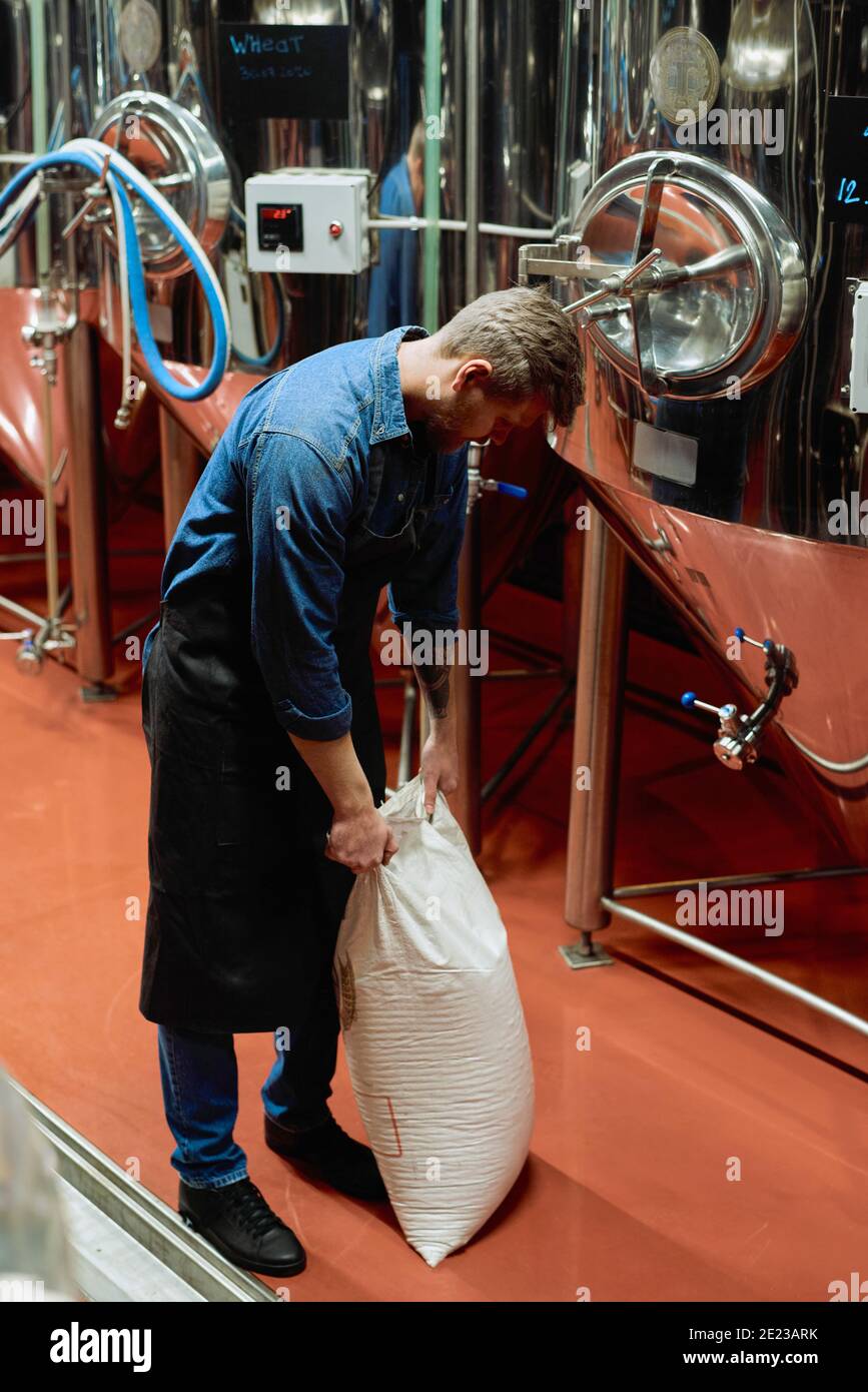 Giovane birraio maschile in abbigliamento da lavoro poggiato su sacco bianco pieno di orzo mentre in piedi in corridoio tra due file di enormi vasche d'acciaio con birra Foto Stock