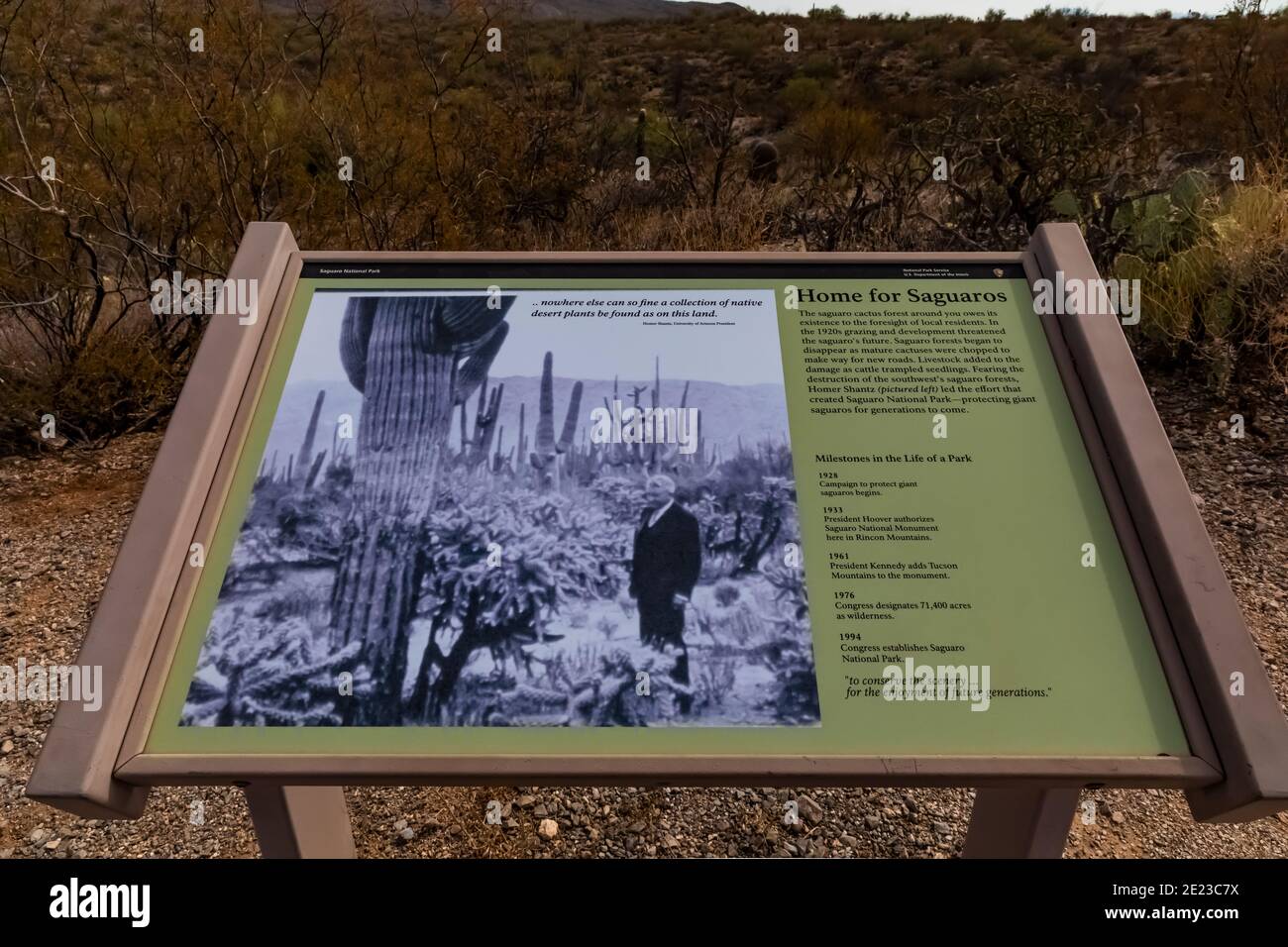 Segno interpretativo sulla storia della conservazione del Parco Nazionale del Saguaro, Arizona, USA Foto Stock