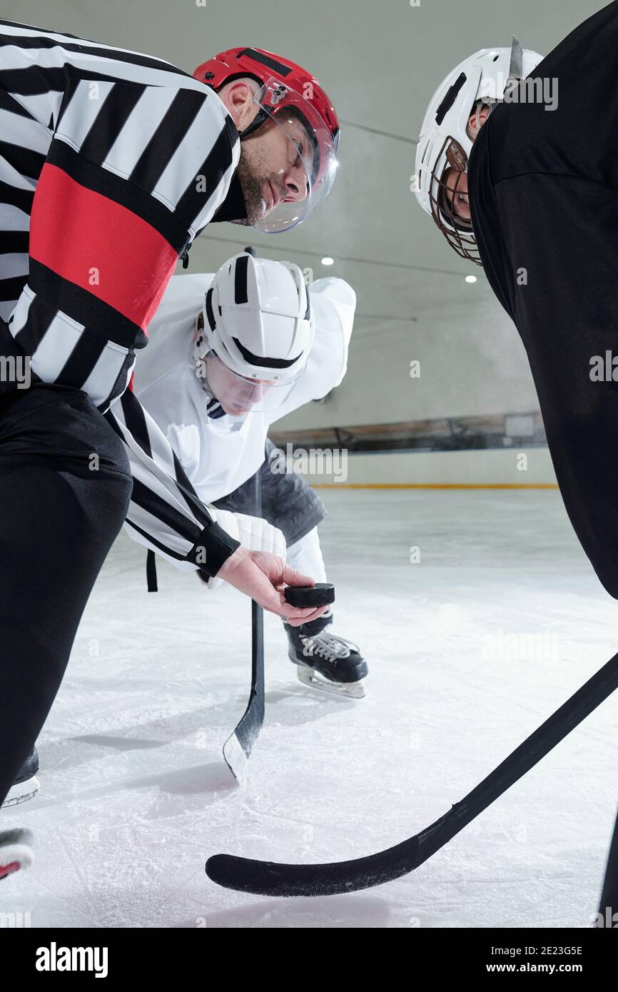 Hockey arbitro con puck guardando uno dei due giocatori con bastoncini che si piegano in avanti e che aspettano il momento di essere il primo a spararlo Foto Stock