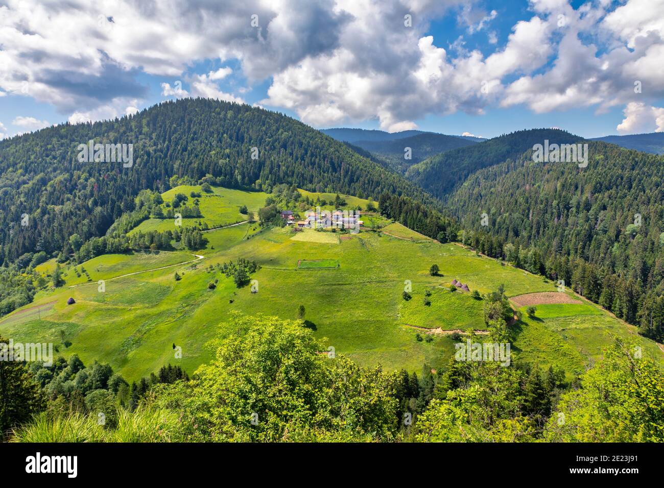 Bella montagna Zlatar, popolare destinazione turistica. Verdi pinete, colline e prati. Serbia Foto Stock