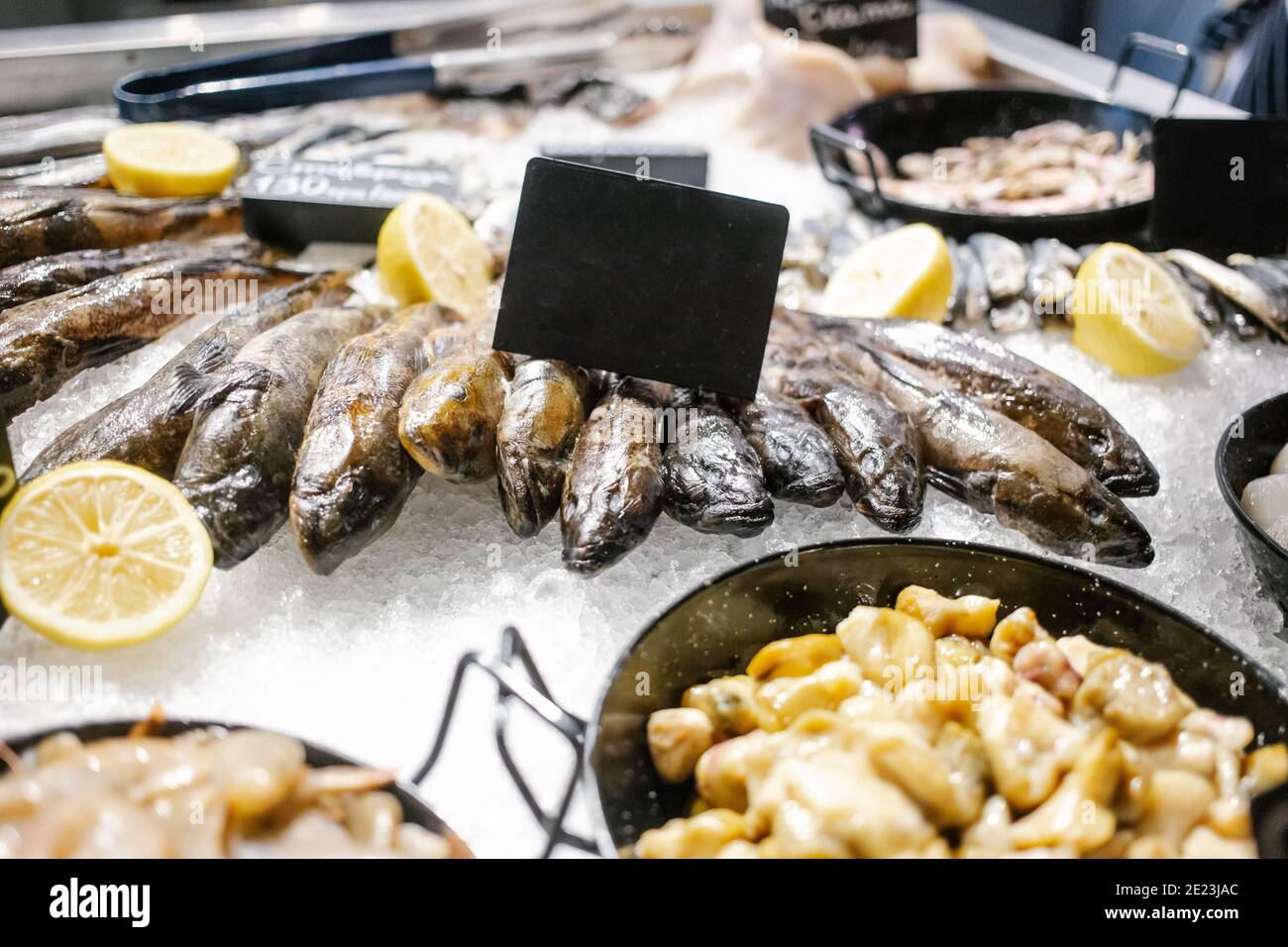 Vari frutti di mare sugli scaffali del mercato del pesce. Pesce fresco su ghiaccio tritato al mercato del pesce. Messa a fuoco selettiva. Foto Stock