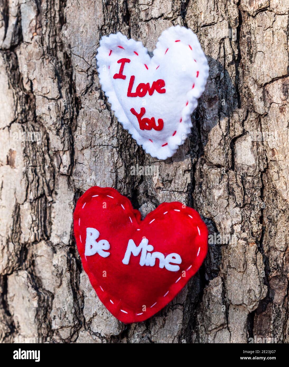 Due cuori di stoffa, uno bianco che dice che ti amo e uno rosso con Be Mine ricamato su di loro su un albero di quercia in un parco Foto Stock