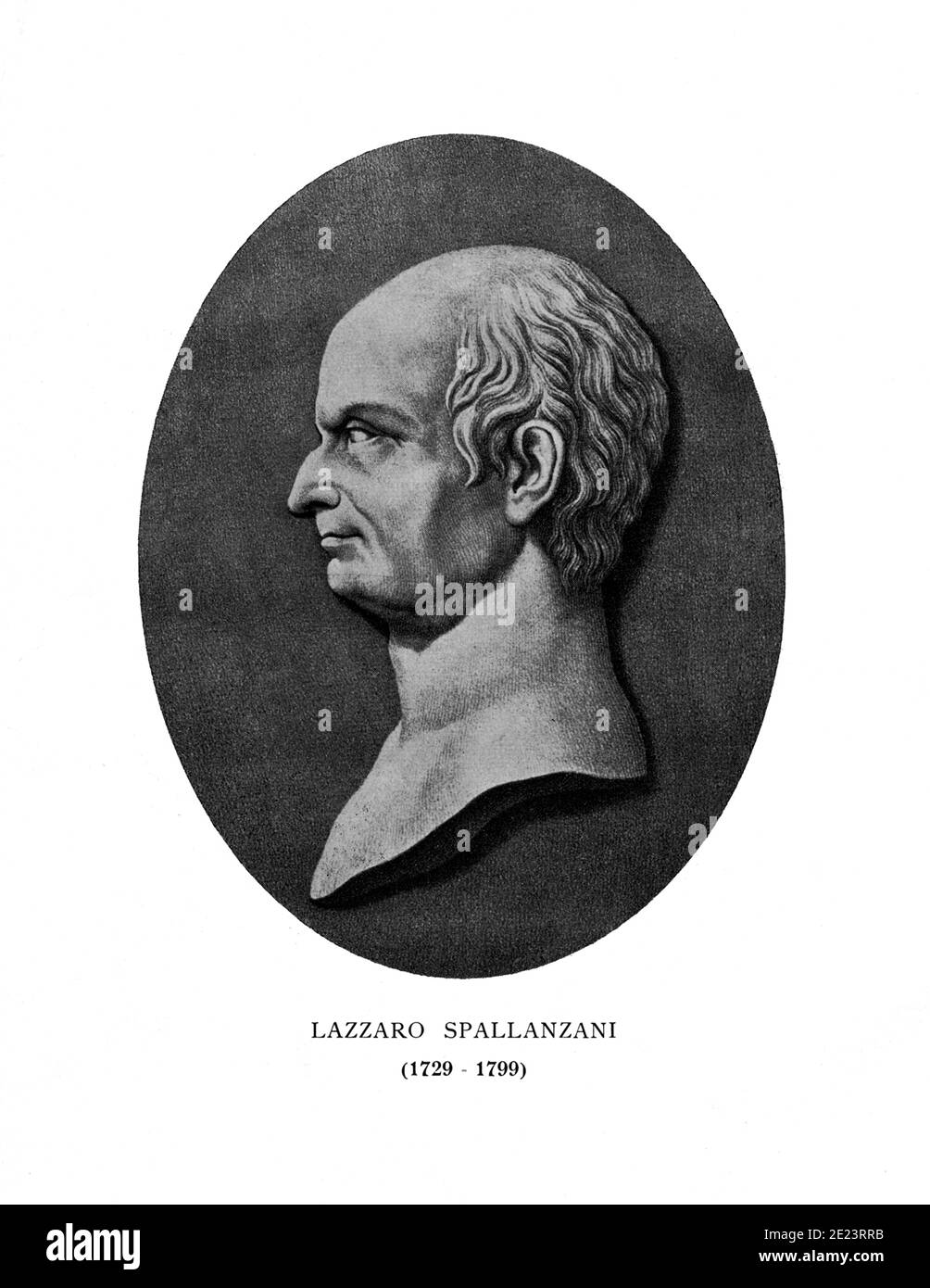 1780 ca , ITALIA : il celebre sacerdote gesuita italiano, biologo e fisiologo LAZZARO SPALLANZANI ( 1729 - 1799 ), incisione di artisti sconosciuti del XIX secolo . .- PROFESSORE - PROFESSORE - foto storiche - foto storica - scientifico - biologico - biologico - biologico - MEDICO - MEDICINA - medicina - SCIENZA - incisione - illustrazione - illustrazione - fisioologia - fisioologo - batteriologia - batteriologia -- - Archivio GBB Foto Stock