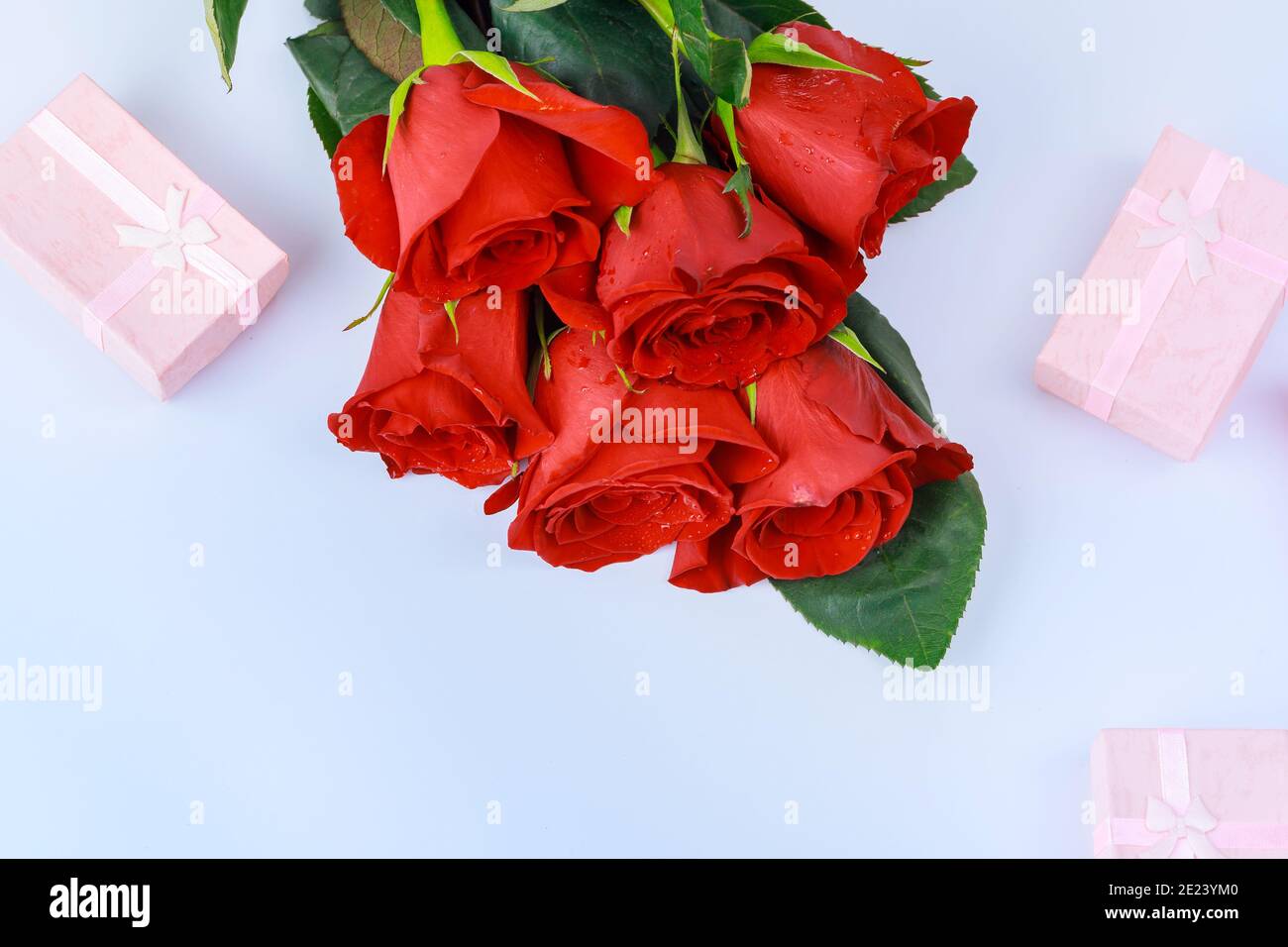 Scatole regalo con e belle rose rosse. Concetto di giorno di San Valentino. Foto Stock