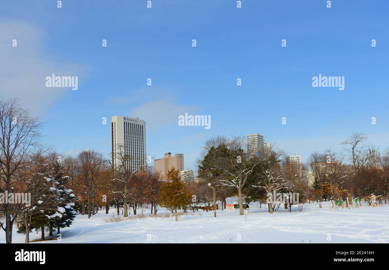 Parco Nakajima a Sapporo durante l'inverno. Foto Stock