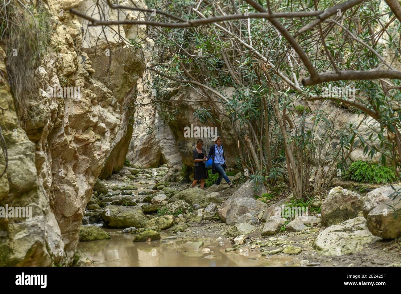 Avakas-Schlucht, Akamas-Halbinsel, Zypen Foto Stock