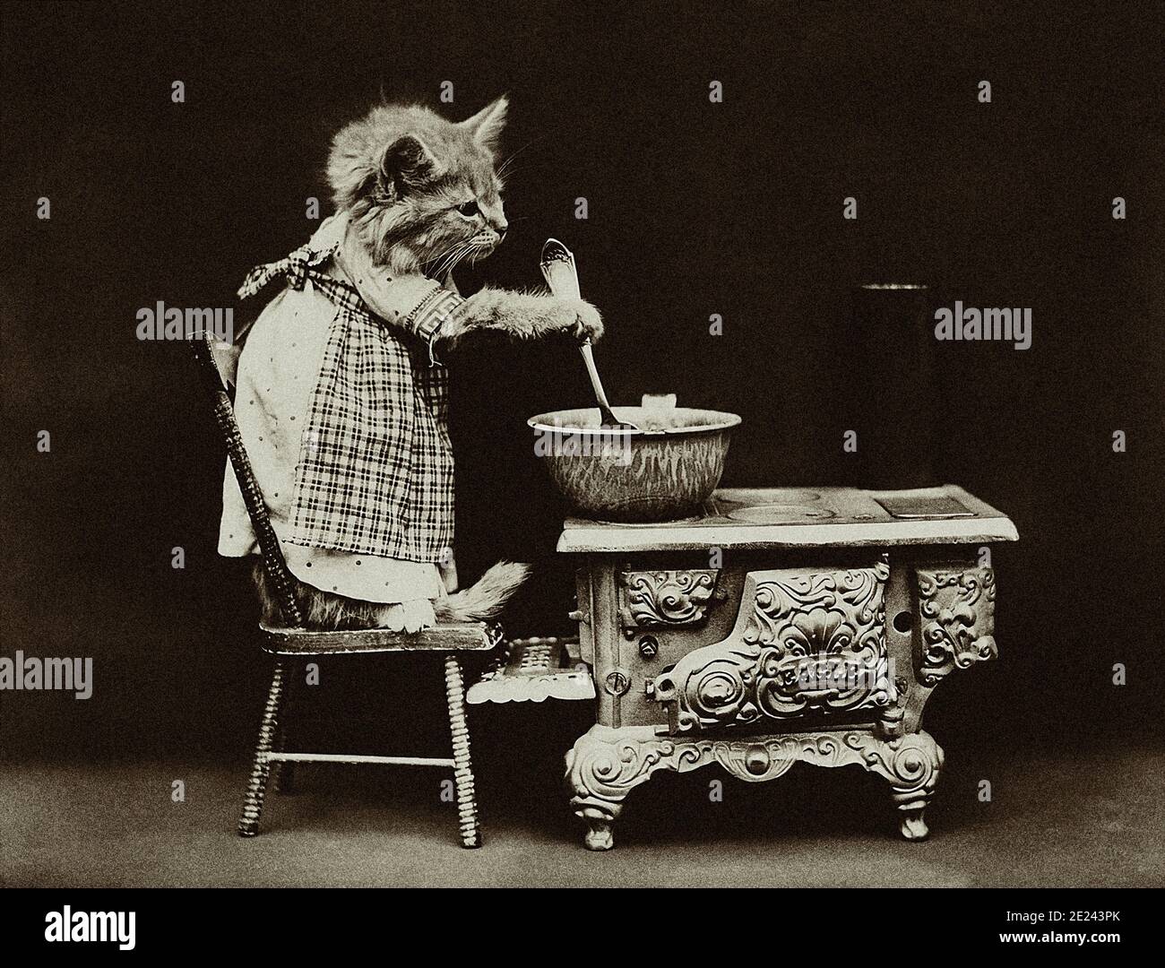 Foto d'epoca di gattini vestiti in abiti umani. Gattino che indossa un abito e che si mescola a una stufa. 19 ° secolo Foto Stock