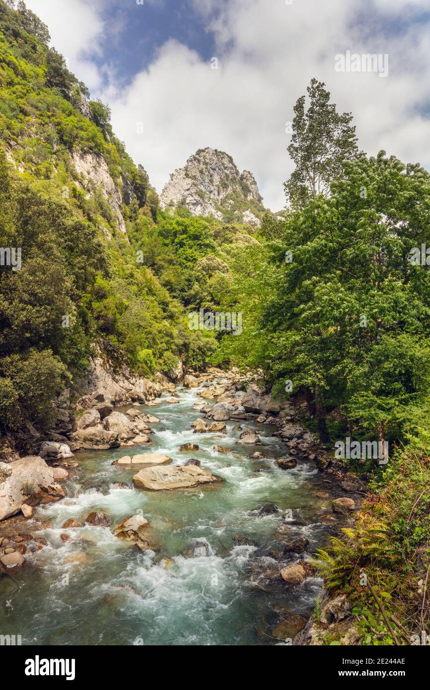Tipico paesaggio montano, Asturie, Spagna. Foto Stock