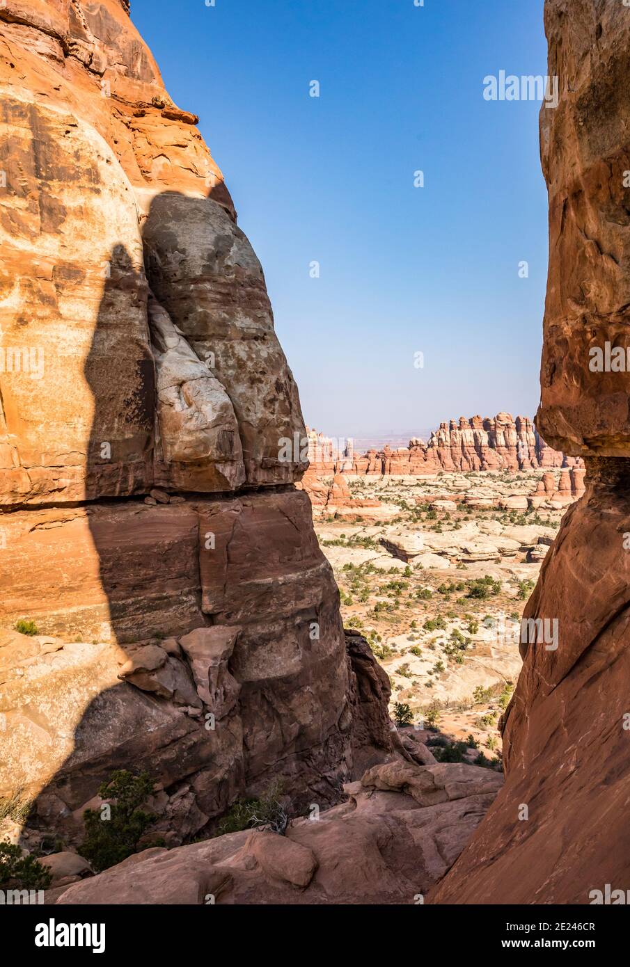 Vicino a Chesler Parkin the Needles District's Chesler Park Trail, Canyonlands National Park, Utah, USA. Foto Stock