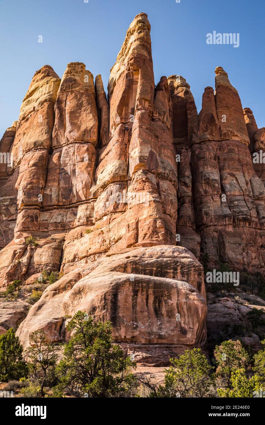 Pinnacoli di roccia nel quartiere degli aghi vicino al sentiero del Chesler Park, al Canyonlands National Park, Utah, USA. Foto Stock