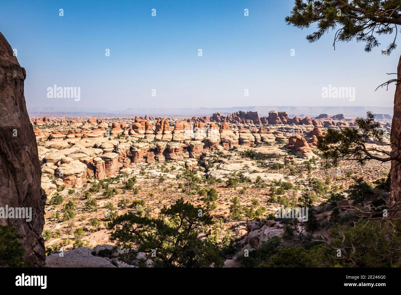 Il quartiere di Needles è vicino a Chesler Park, Canyonlands National Park, Utah, USA. Foto Stock