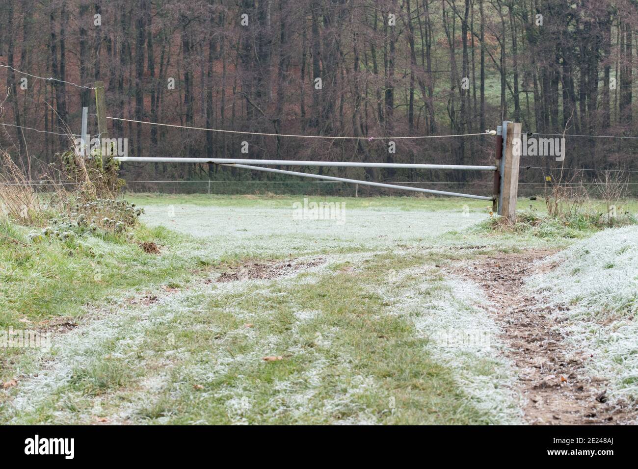 Escursione nella regione di Osnabrück vicino a Melle-Neuenkirchen sulla Terra.Track Königsbrück. È una fredda giornata autunnale con brina sui prati e sui campi. Foto Stock