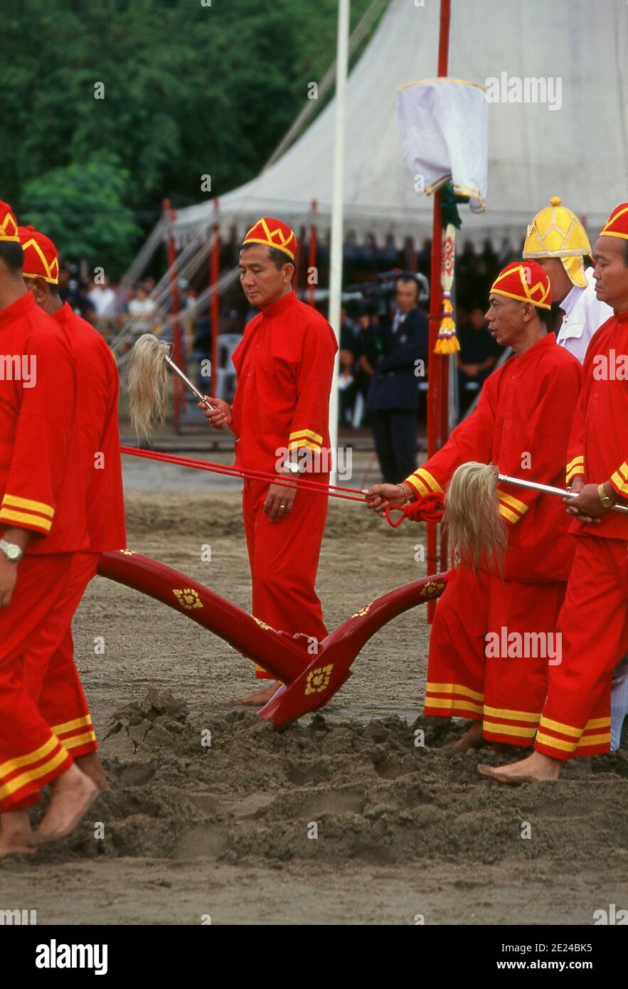 La cerimonia di aratura reale è un antico rituale Brahman che si tiene ogni anno a Bangkok a Sanam Luang di fronte al Grand Palace. L'evento si svolge per ottenere un inizio favorevole alla stagione di coltivazione del riso. I buoi bianchi sacri arano il campo di Sanam Luang, che viene poi seminato con semi benedetti dal re. I coltivatori poi raccolgono i semi per ripiantare nei loro propri campi. Questa cerimonia si svolge anche in Cambogia e Sri Lanka. Foto Stock