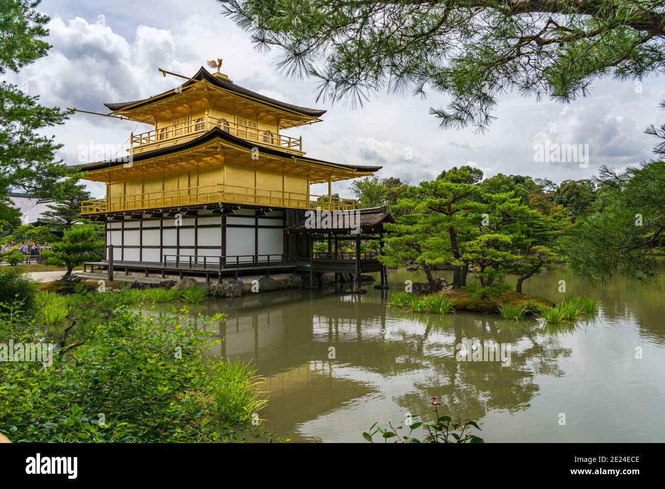 Il Padiglione d'Oro al Tempio di Kinkakuji, Giappone Foto Stock