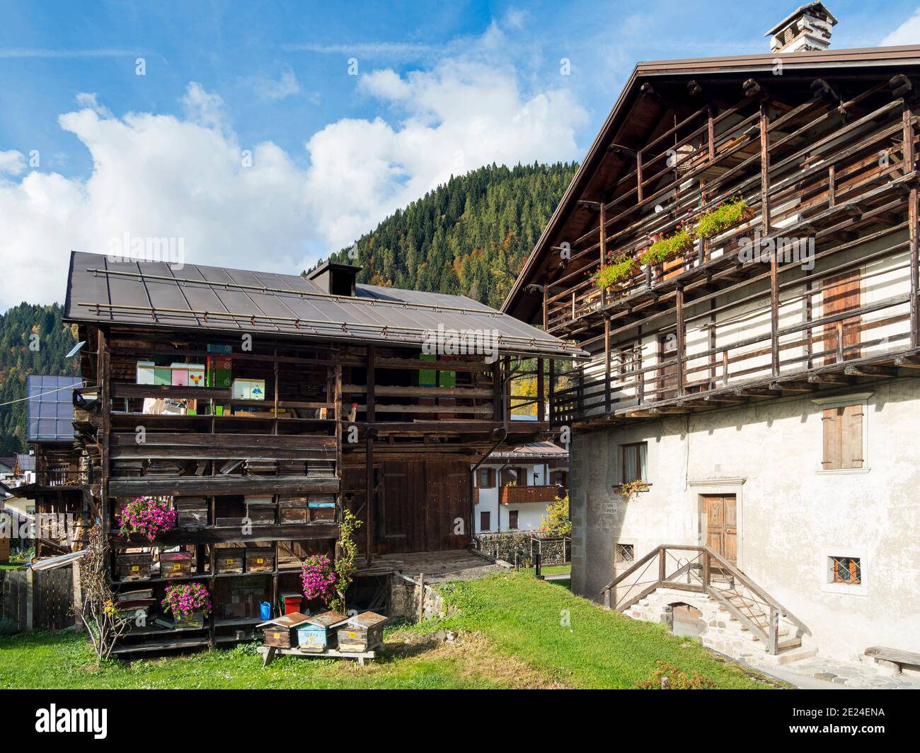 Canale d'Agordo, tradizionale architettura alpina nella Val Biois . Europa, Europa centrale, Italia Foto Stock