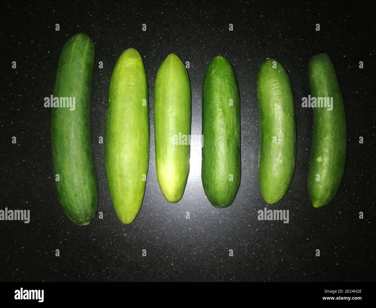 Il cetriolo è una pianta di vite strisciante ampiamente coltivata nelle Cucurbitacee famiglia gourd che porta frutti cucumiformi Foto Stock