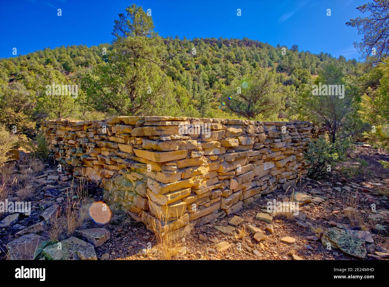 Rovine dei pionieri del MC Canyon, Prescott National Forest, Arizona, Stati Uniti Foto Stock