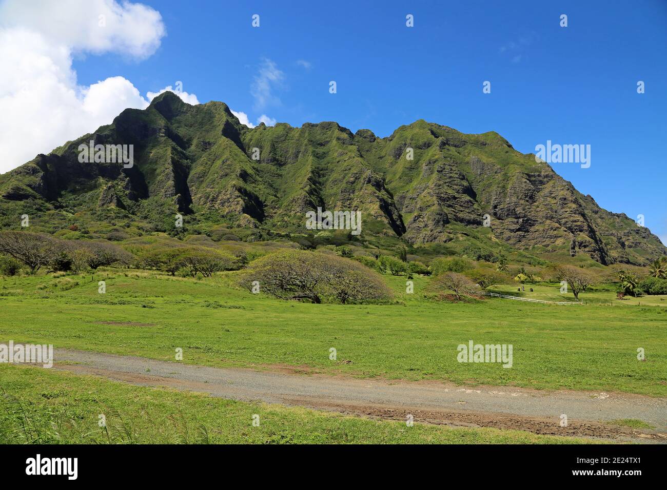 Strada sterrata in Kualoa Ranch - Oahu, Hawaii Foto Stock