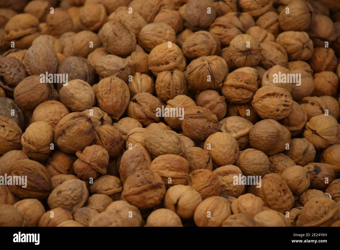 Le noci di Kashmiri secche in guscio sono raggruppate Foto Stock