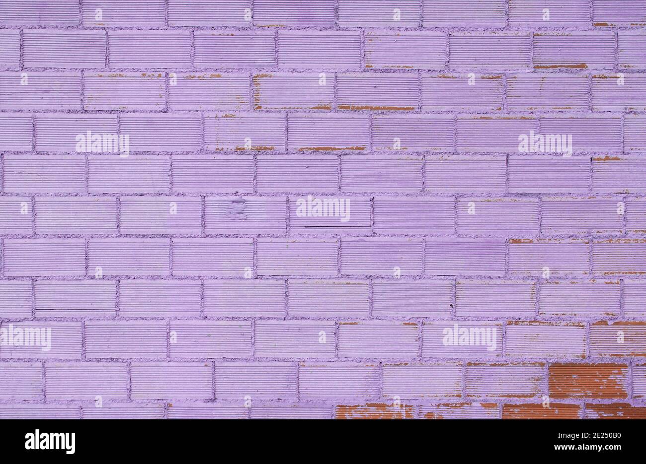 Sfondo muro di mattoni dipinti viola Foto Stock