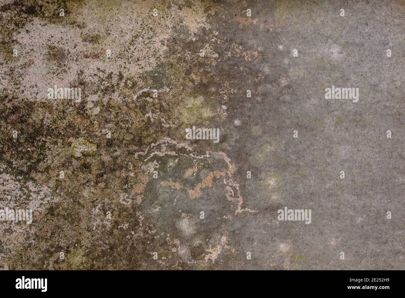 Vecchio muro grugnoso con umidità da vicino, sfondo astratto o struttura Foto Stock