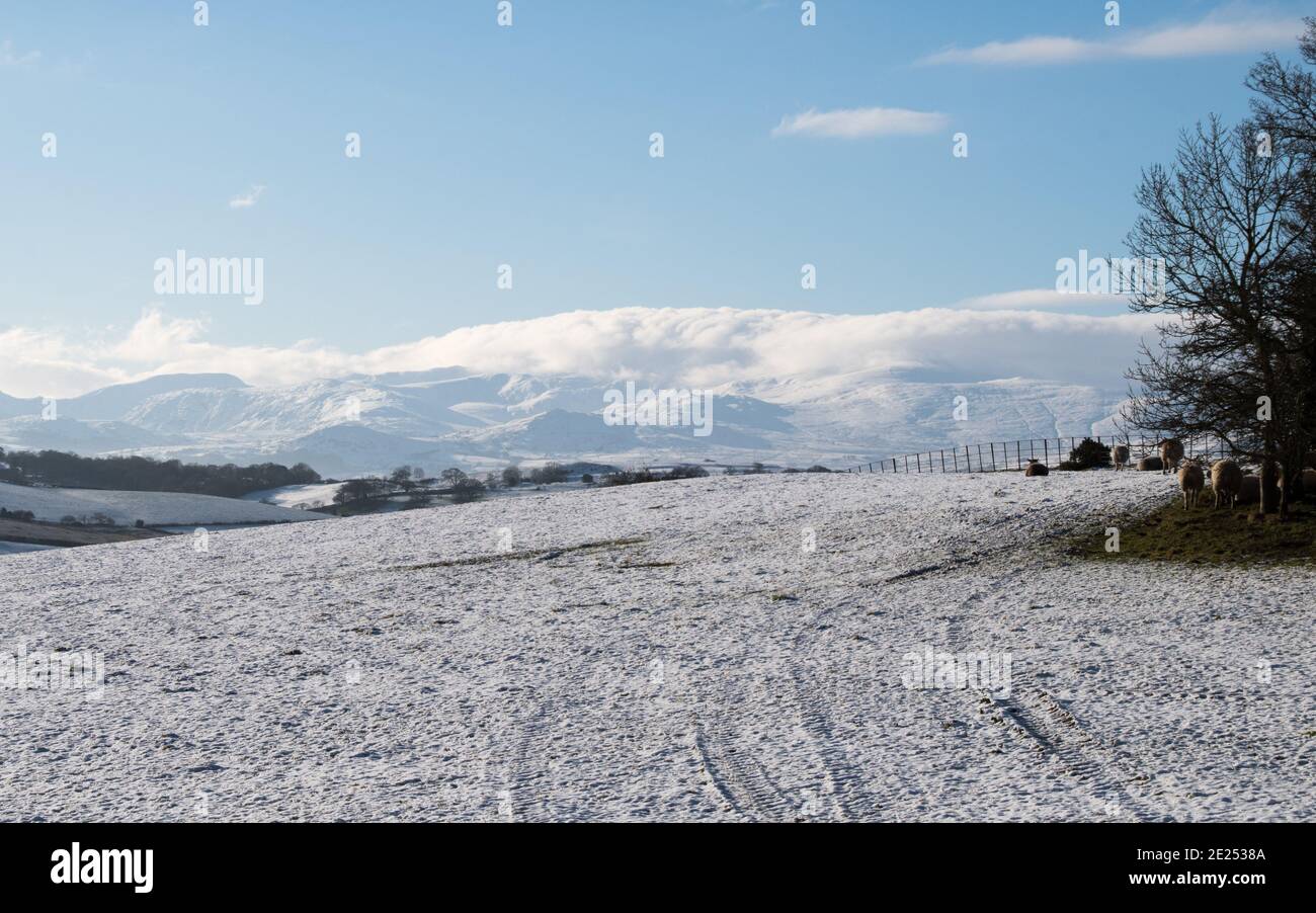 Neve invernale (Meteo UK) Foto Stock