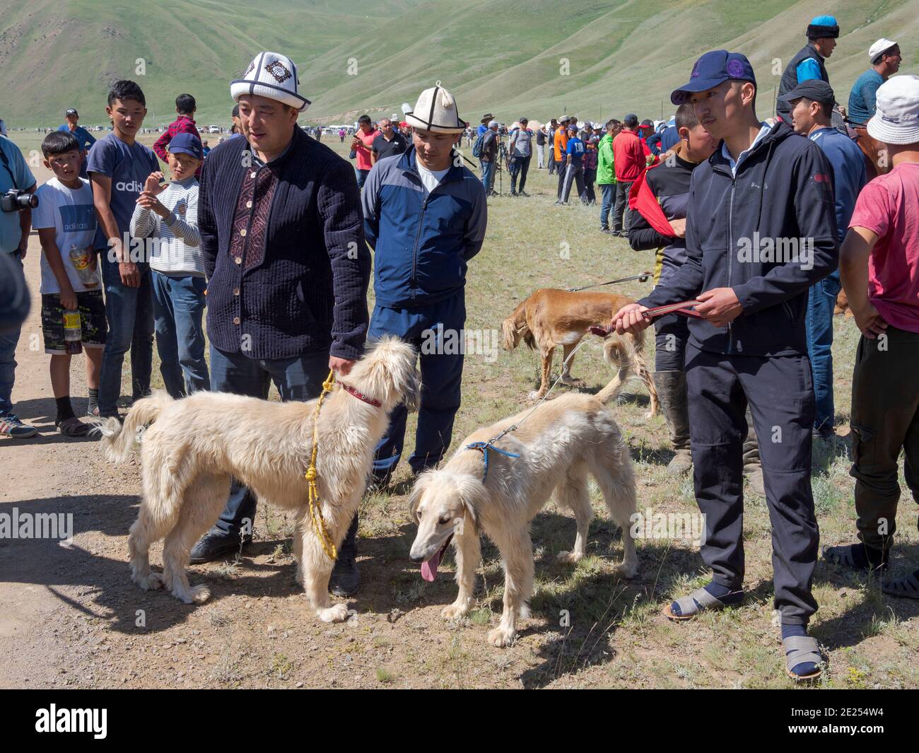 Allevatori di cane da caccia Kyrgysz, Taigan, durante una gara. Festa popolare e sportiva nella pianura di Suusamyr in ricordo di Koshomkul, sportivo A. Foto Stock