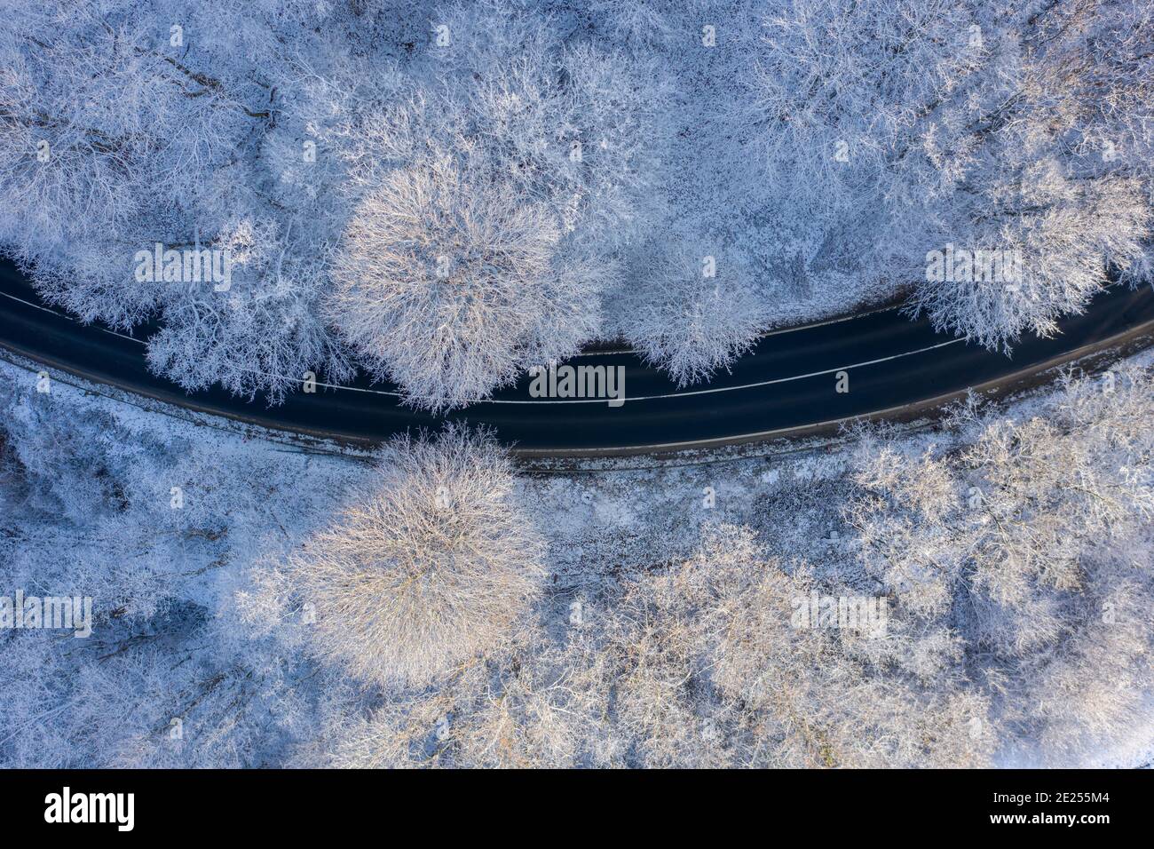 Csesznek, Ungheria - veduta aerea dall'alto verso il basso della foresta invernale attraversata da una strada asfaltata. Sfondo paesaggio innevato. Foto Stock