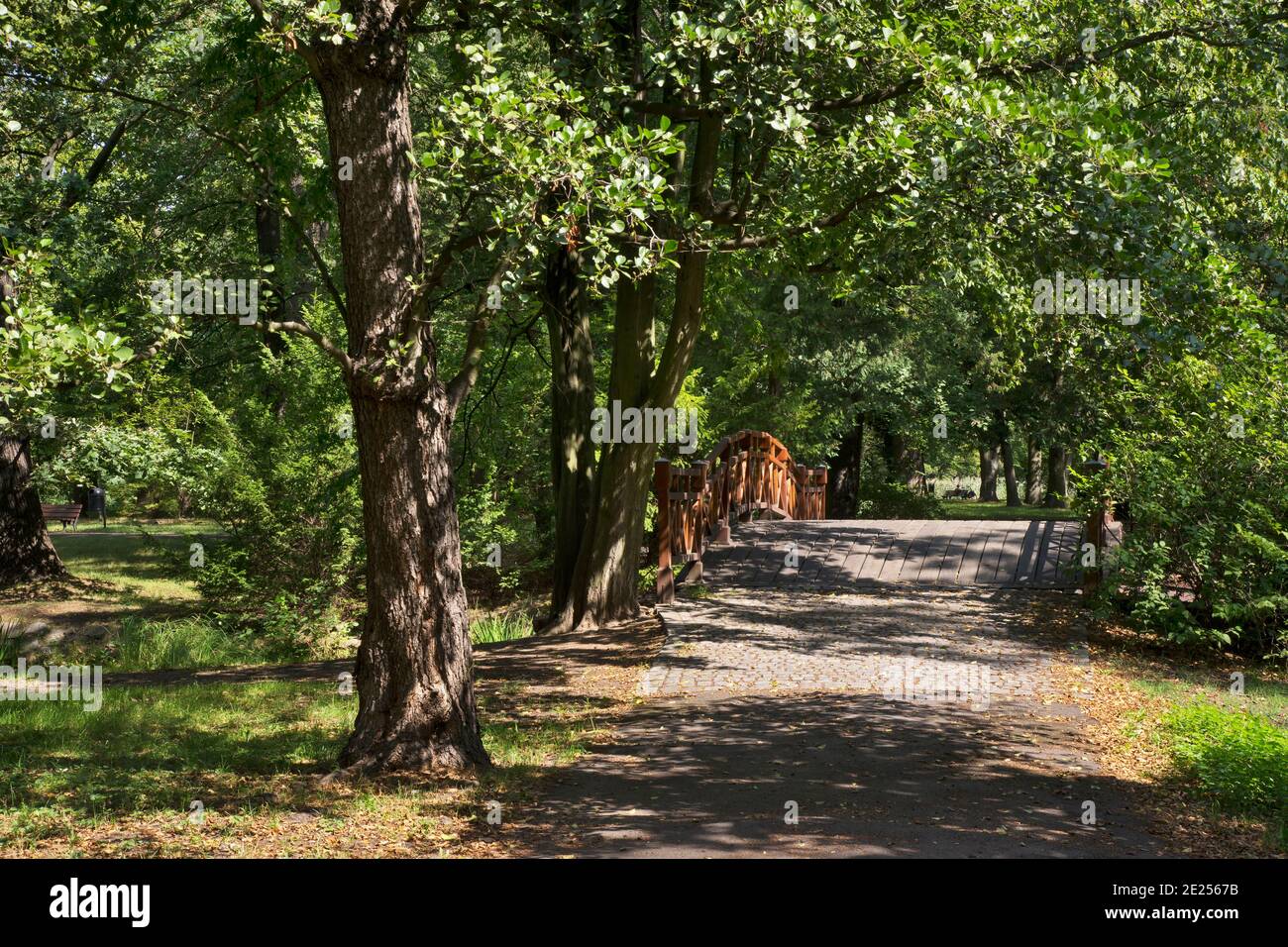 Parco Szczytnicki a Breslavia. Polonia Foto Stock