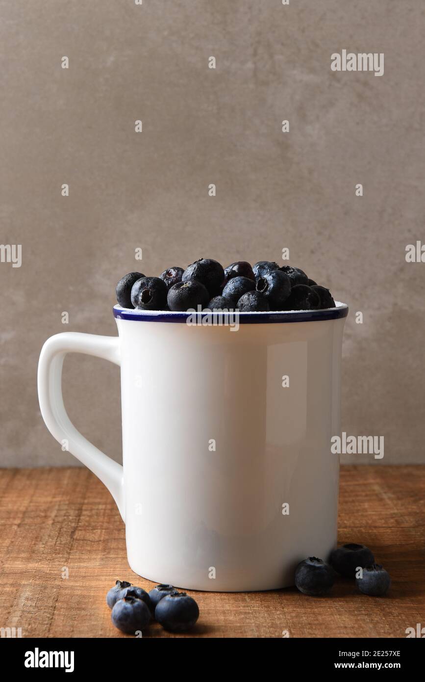 Blueberry Still Life. Una tazza bianca ripiena di mirtilli freschi raccolti su un tavolo di legno. Formato verticale con spazio di copia. Foto Stock