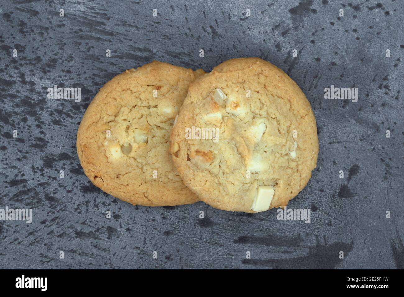 Due biscotti alla noce di macadamia e cioccolato bianco su sfondo grigio a chiazze. Foto Stock