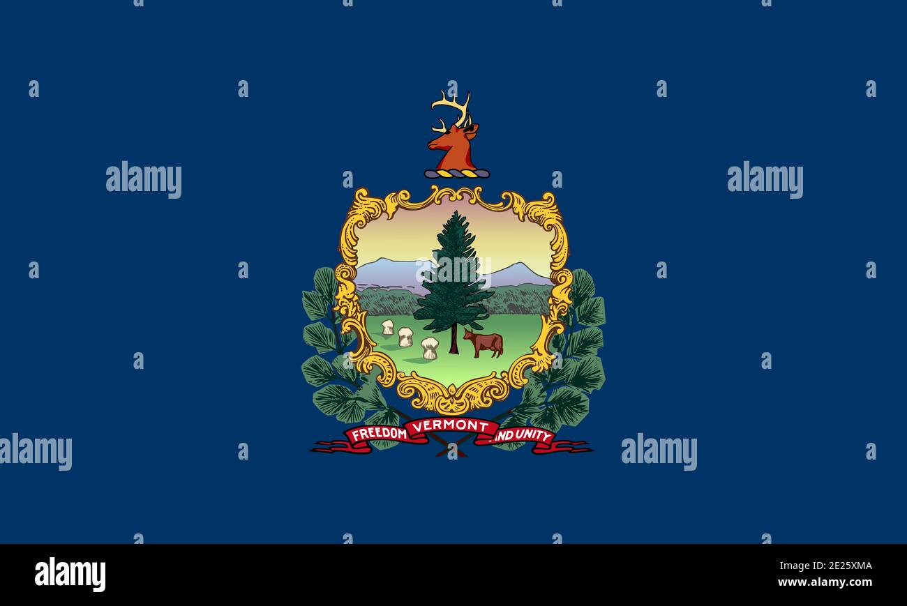 Bandiera piatta grande ufficiale del Vermont orizzontale Foto Stock