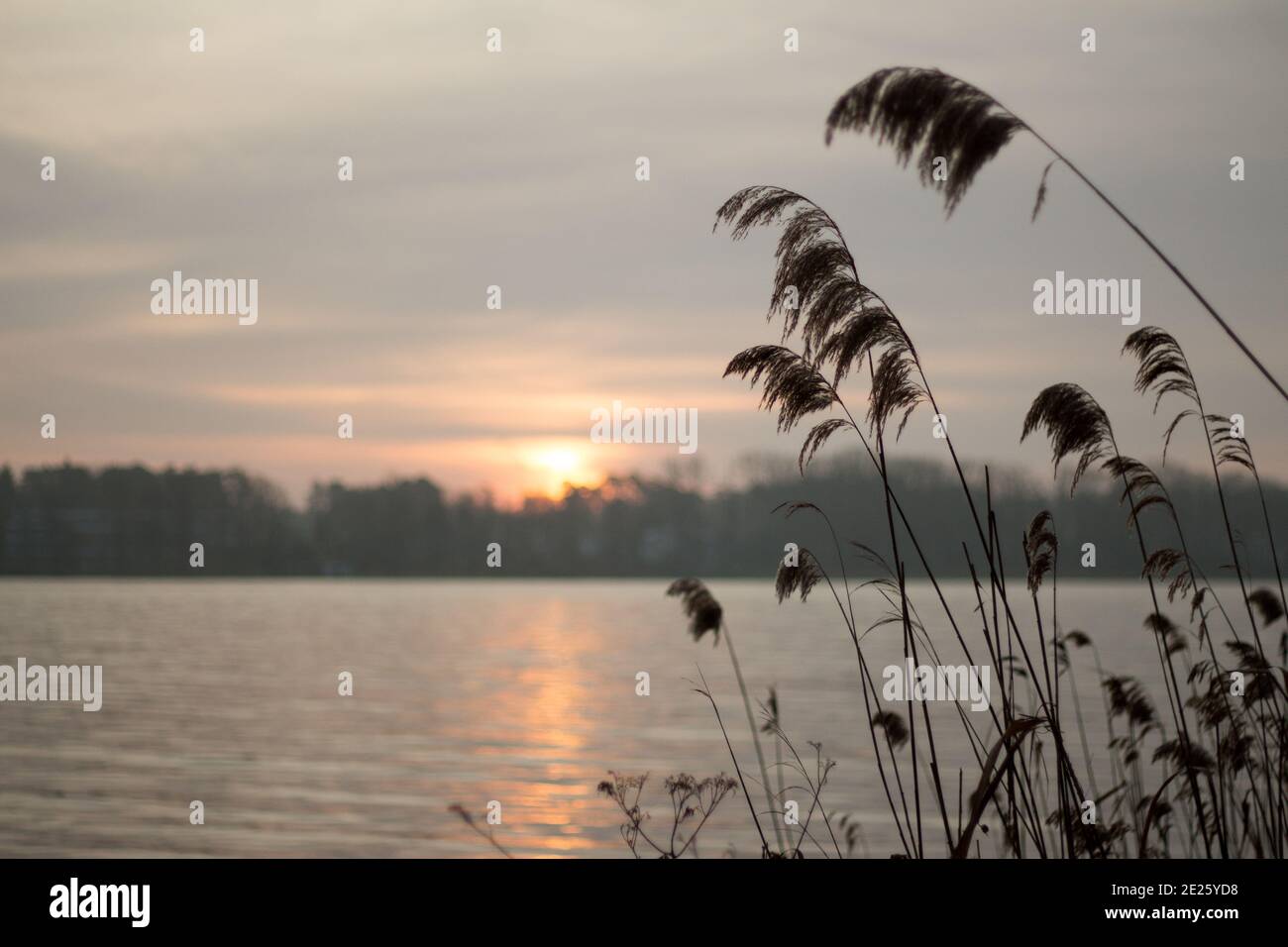 Sonnenaufgang im Herbst Foto Stock