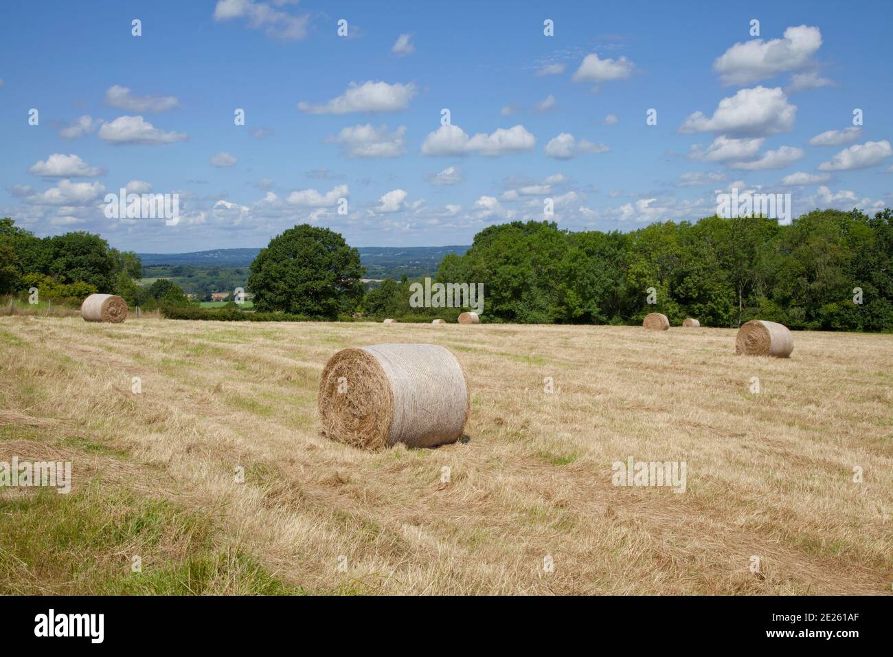 Balle rotonde di fieno a Kent hayfield con viste lontane in una giornata di sole Foto Stock Balle rotonde di fieno a Kent hayfield con viste lontane in una giornata di sole Foto Stock