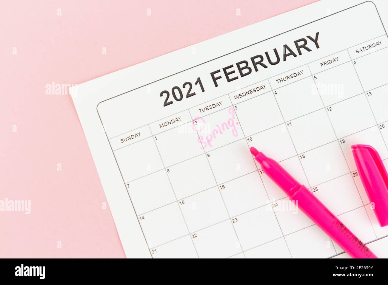 Concetto di giorno di Groundhog. La parola Primavera è scritta sul calendario il 02 febbraio. Sfondo rosa. Disposizione piatta. Foto Stock