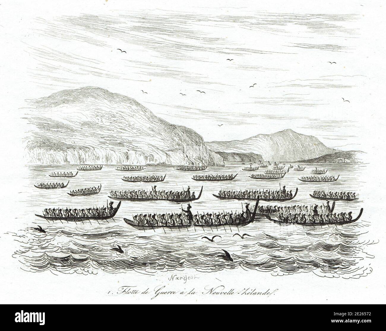 flotte de Guerre en Nouvelle Zélande Foto Stock