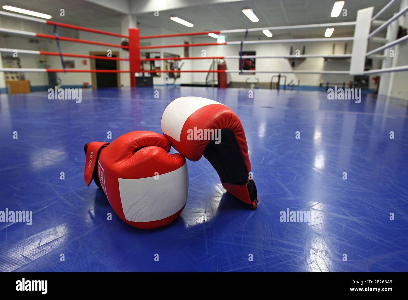 Linköping, SVEZIA - 24 OTTOBRE 2011: Guanti da boxe in un anello da boxe. Foto Stock