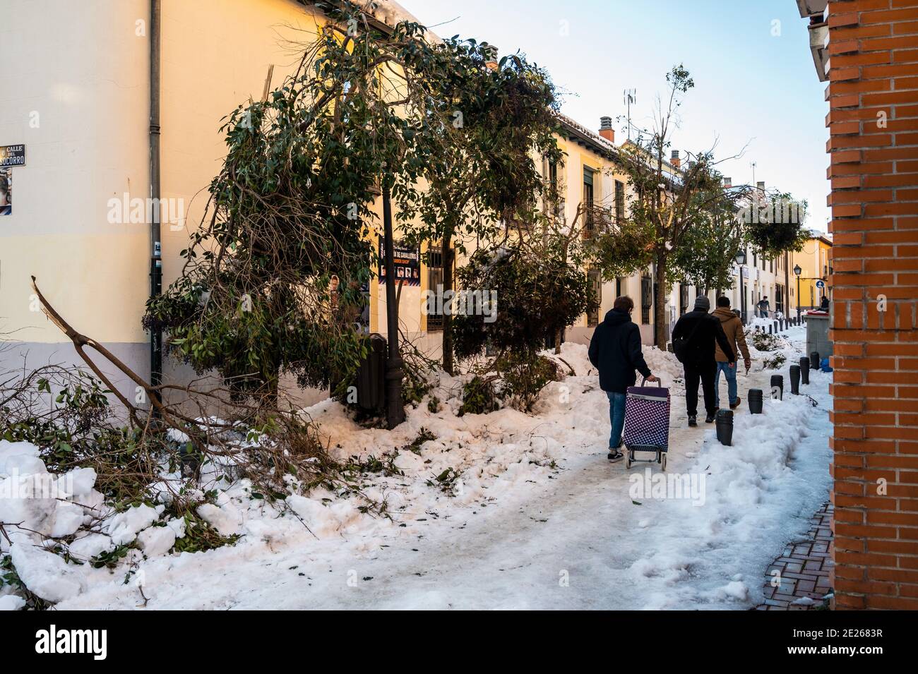 Madrid, Spagna. 12 gennaio 2021. I pedoni camminano lungo un sentiero innevato con alberi caduti e rami nel quartiere Vicalvaro di Madrid causato dalla tempesta 'Filomena'. La tempesta ha causato la più grande nevicata da 50 anni. Il governo prenderà in considerazione la possibilità di dichiarare Madrid una zona catastrofica. Credit: Marcos del Mazo/Alamy Live News Foto Stock