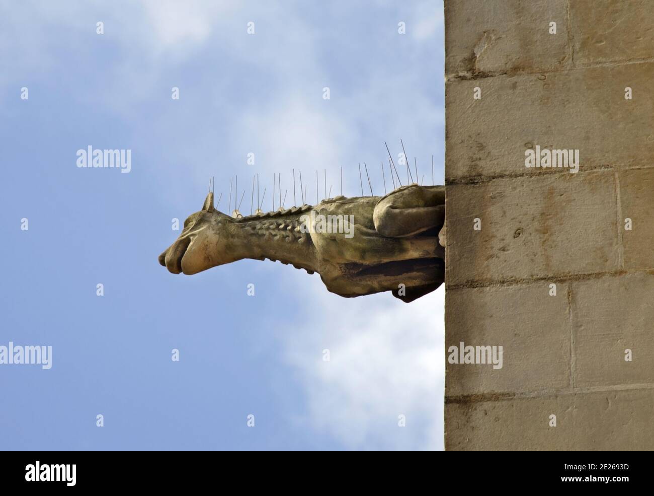 Chimera sul muro della chiesa di Sarria a Floriana. Malta Foto Stock