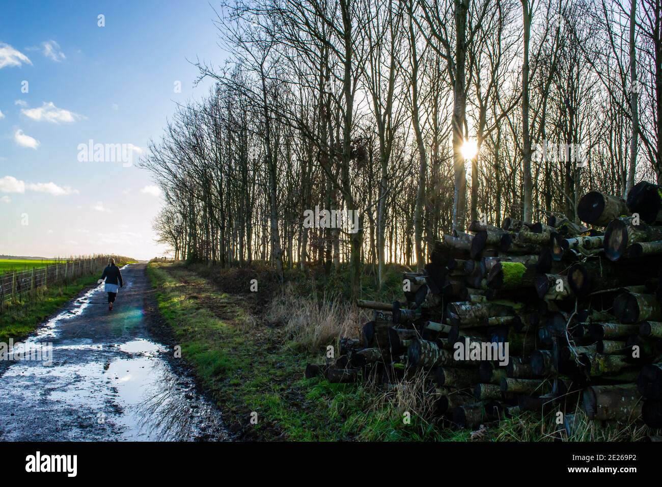 Percorso di campagna in Exton, Rutland, Inghilterra Foto Stock