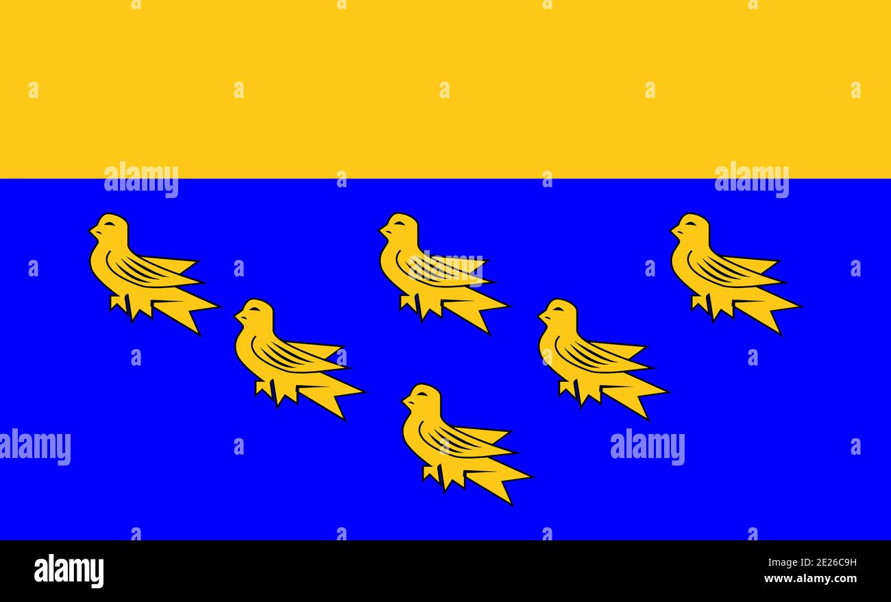 Bandiera della contea del West Sussex Council che rappresenta il West Sussex Consiglio nel Regno Unito Foto Stock