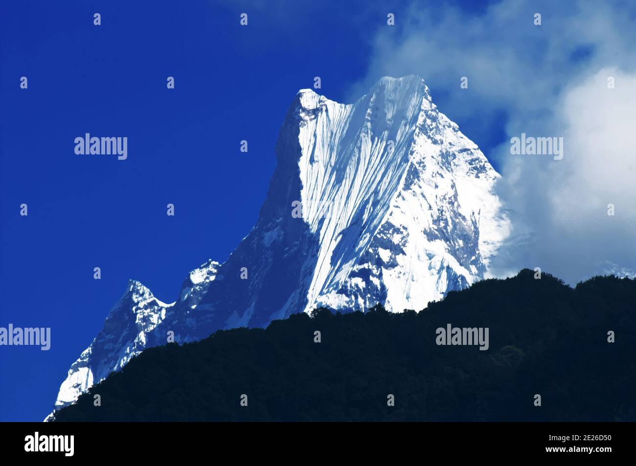 Machapuchare o Fishtail Peak. È una montagna nell'Annapurna Himal del Nepal centro-settentrionale Foto Stock