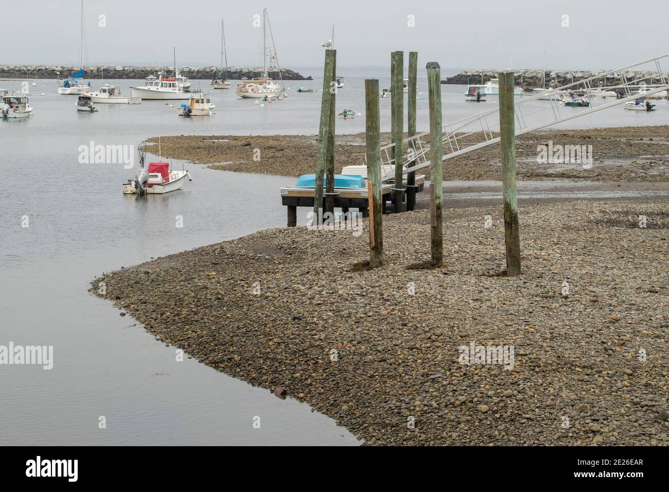 Il porto di Rye è un mix di barche da pesca commerciali e anche di pescatori hobby. C'è anche un tour in barca che frequenta il molo per salire e scendere da touri Foto Stock