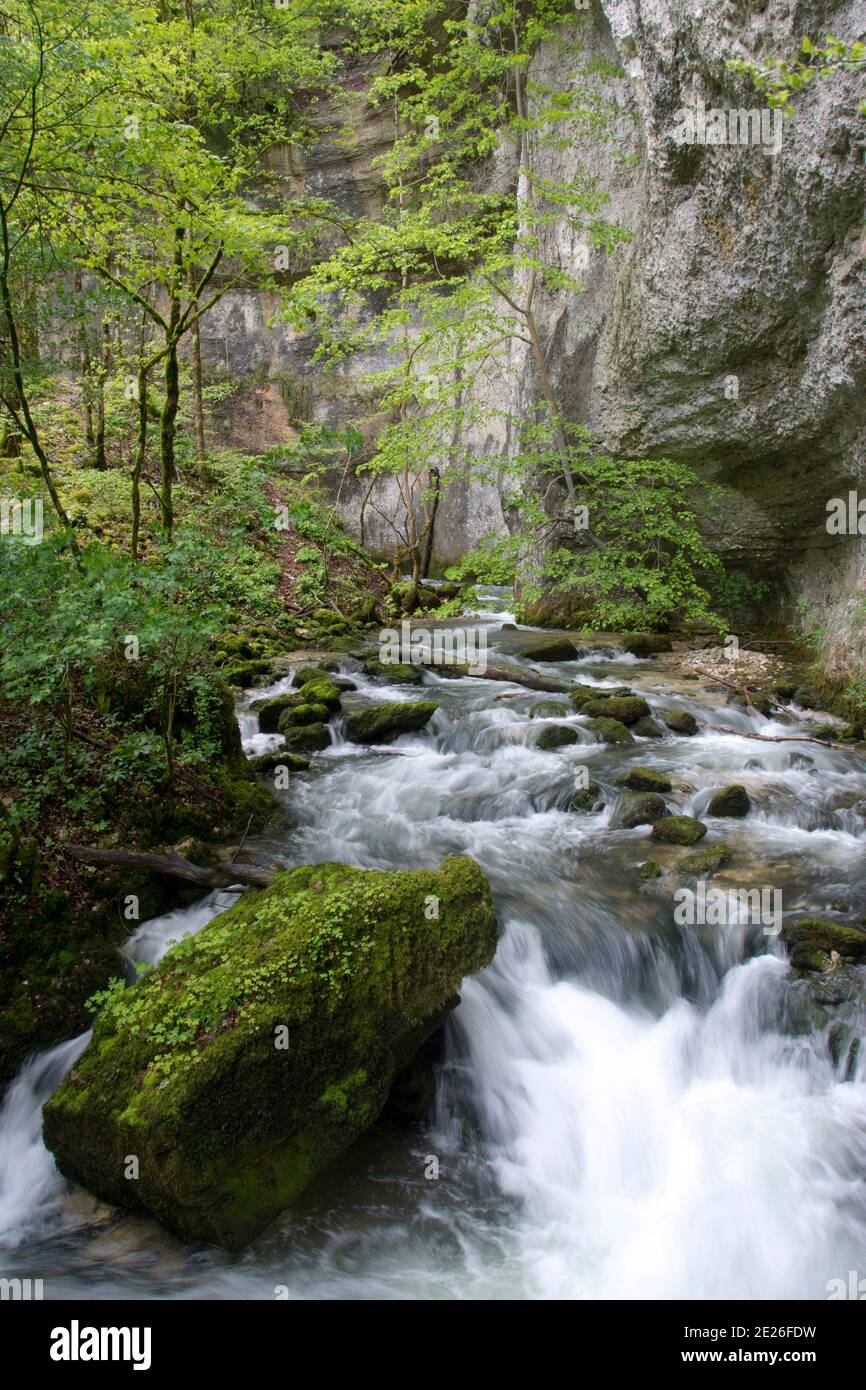 Die spektakuläre Karstquelle des Pontet, einem Zufluss der Loue im französischen Jura Foto Stock