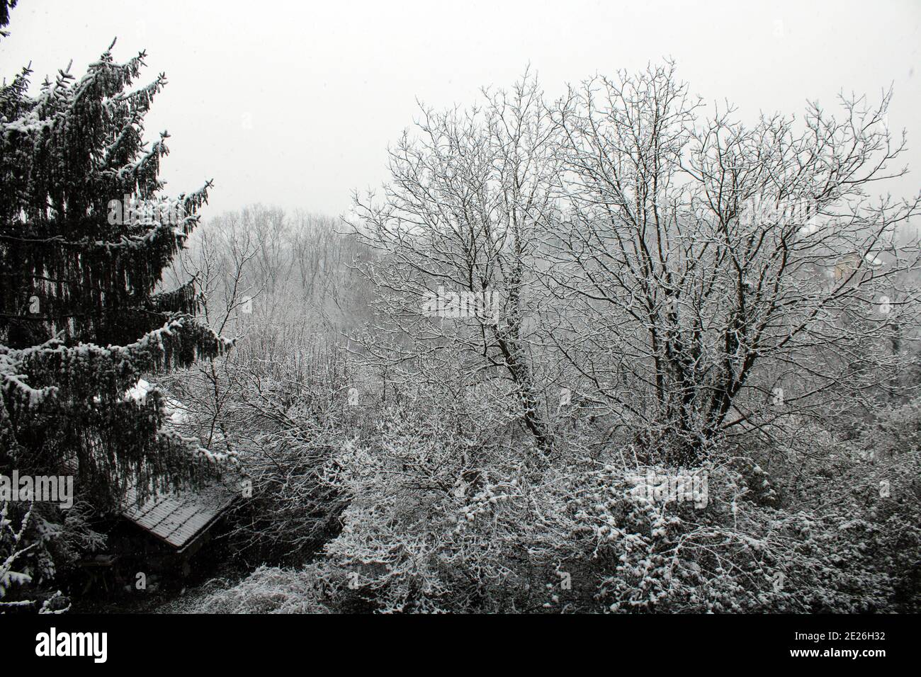 Prima dolce neve invernale 2021. Intorno a Zagabria, Croazia, Europa Foto Stock