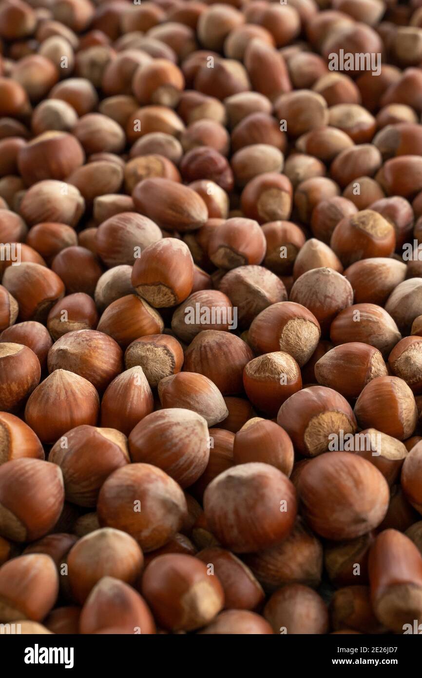 nocciole di fondo. Composizione di nocciole e backgorund. Nocciole turche. Cibo naturale biologico. Framing verticale noci. Foto di cibo Foto Stock
